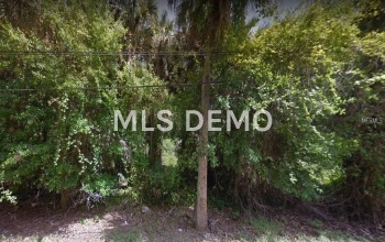 INGHAM ROAD, NEW SMYRNA BEACH, Florida 32168, ,Vacant land,For sale,INGHAM,A4208791