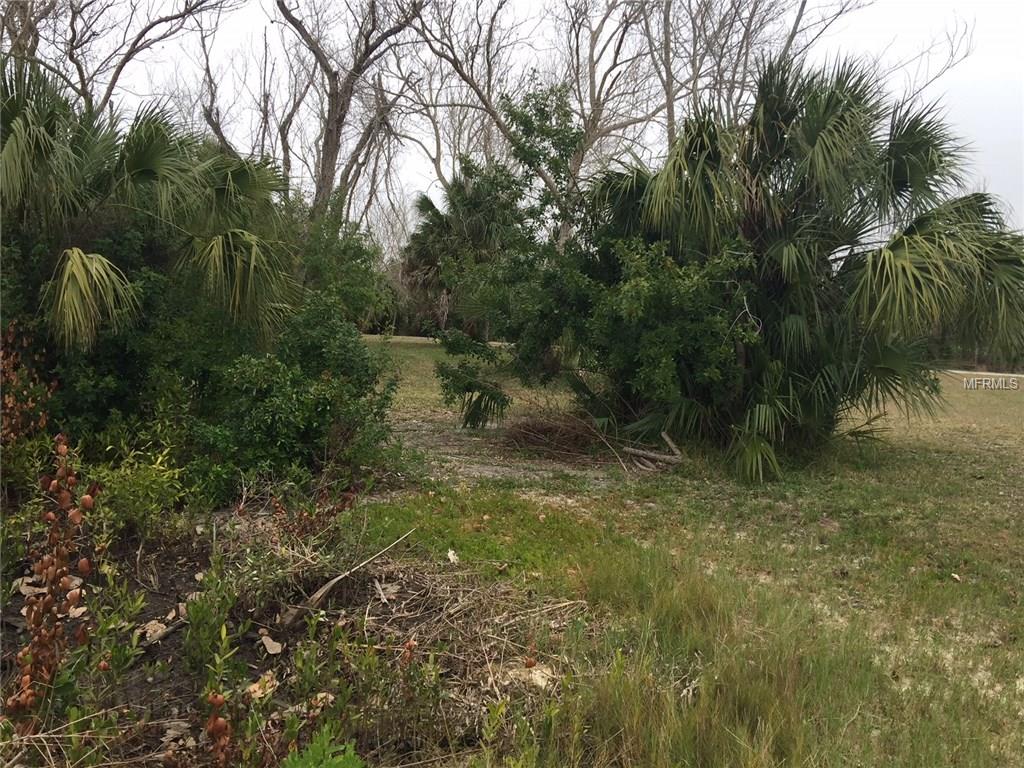 HATTERAS DRIVE, HUDSON, Florida 34667, ,Vacant land,For sale,HATTERAS,T2926642