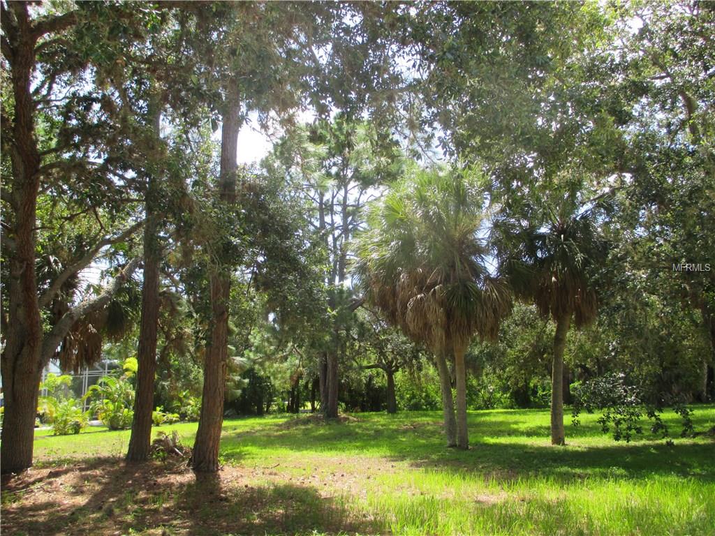 13094 VIA FLAVIA, PLACIDA, Florida 33946, ,Vacant land,For sale,VIA FLAVIA,D5919733