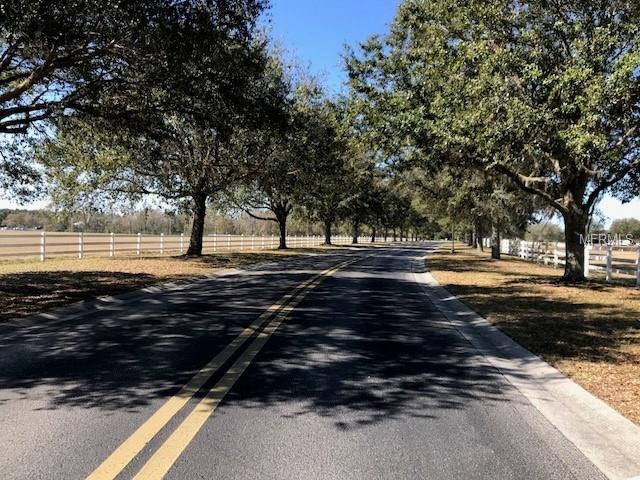 9730 PREAKNESS STAKES WAY, DADE CITY, Florida 33525, ,Vacant land,For sale,PREAKNESS STAKES,T2926720