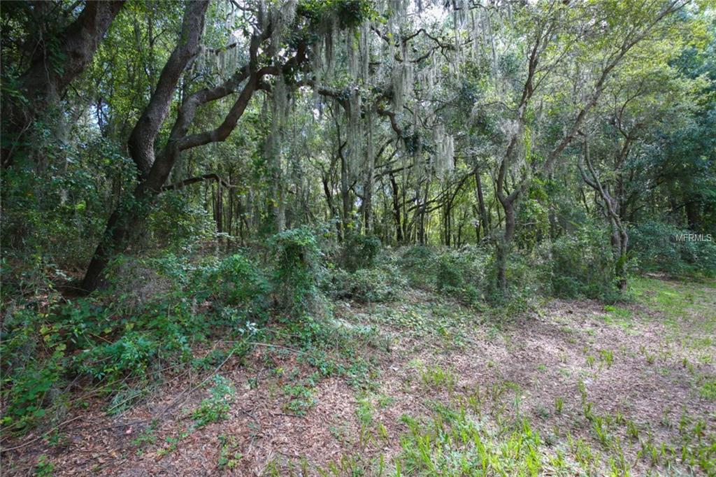 EAST CROOKED LAKE DRIVE, EUSTIS, Florida 32726, ,Vacant land,For sale,EAST CROOKED LAKE,G4846076