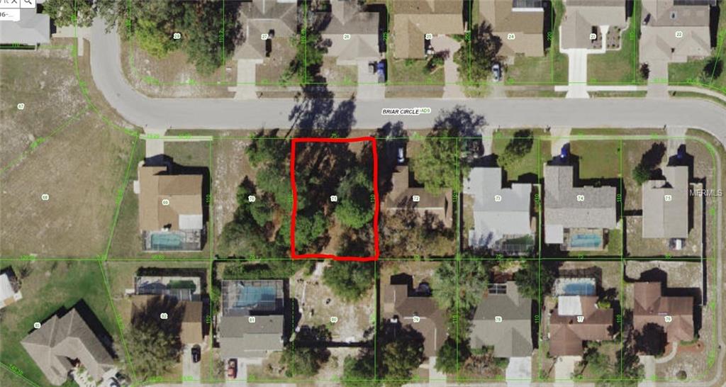 10109 BRIAR CIRCLE, HUDSON, Florida 34667, ,Vacant land,For sale,BRIAR,W7637550