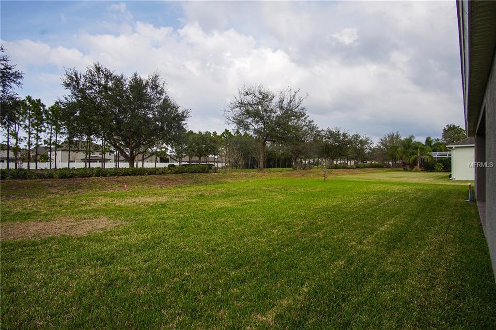 11855 NEWBERRY GROVE LOOP, RIVERVIEW, Florida 33579, 4 Bedrooms Bedrooms, 10 Rooms Rooms,3 BathroomsBathrooms,Residential,For sale,NEWBERRY GROVE,T2928481