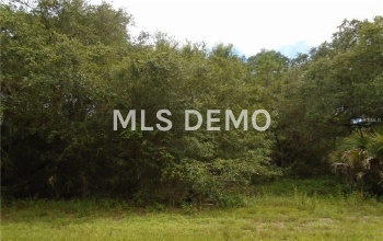 16269 LIMERICK AVENUE, PORT CHARLOTTE, Florida 33954, ,Vacant land,For sale,LIMERICK,C7242416