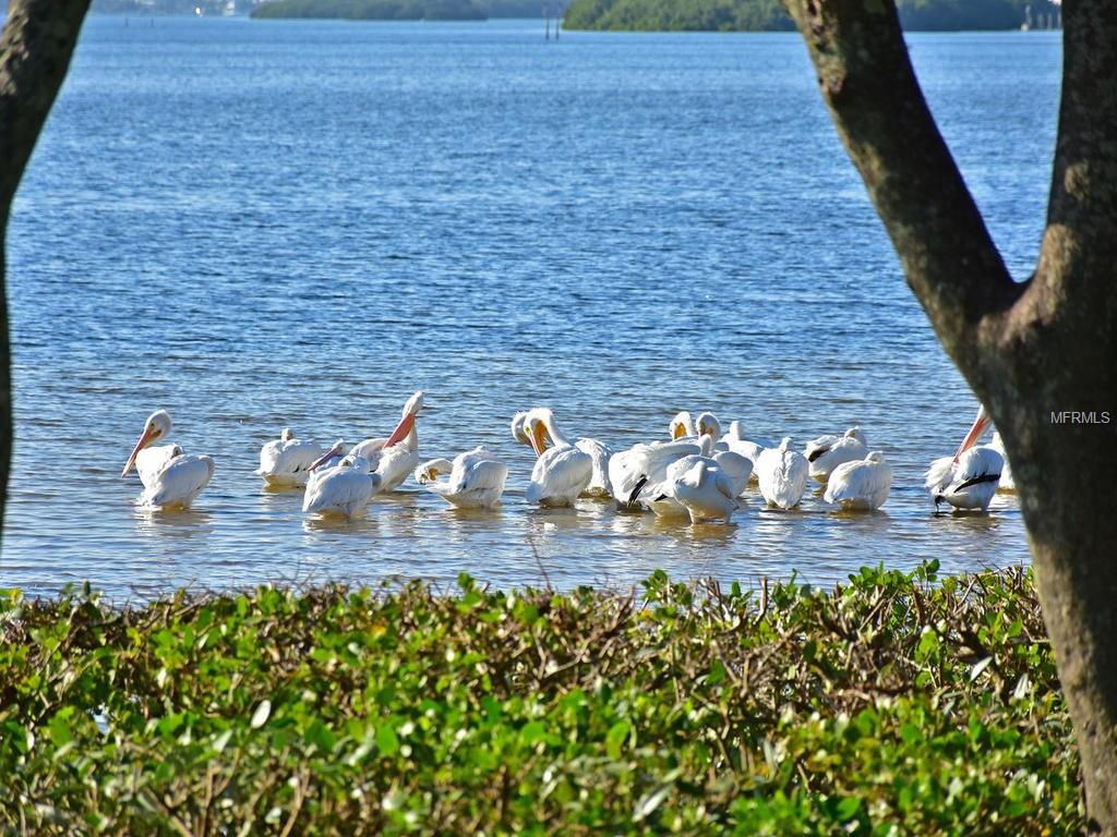 4601 MOUNT VERNON DRIVE, BRADENTON, Florida 34210, 2 Bedrooms Bedrooms, 5 Rooms Rooms,2 BathroomsBathrooms,Residential,For sale,MOUNT VERNON,A4197306