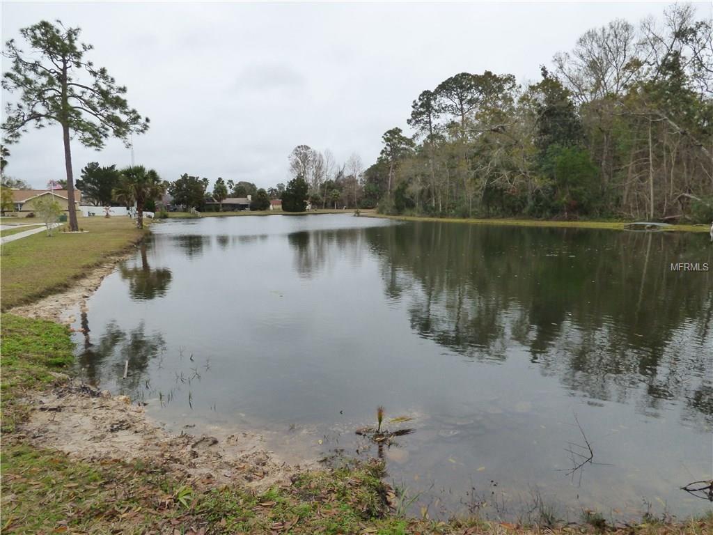 10166 BRIAR CIRCLE, HUDSON, Florida 34667, ,Vacant land,For sale,BRIAR,W7637562