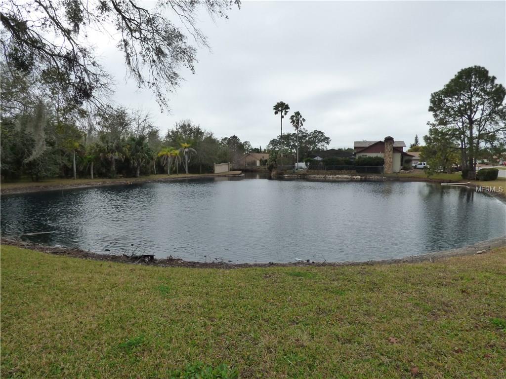 10166 BRIAR CIRCLE, HUDSON, Florida 34667, ,Vacant land,For sale,BRIAR,W7637562