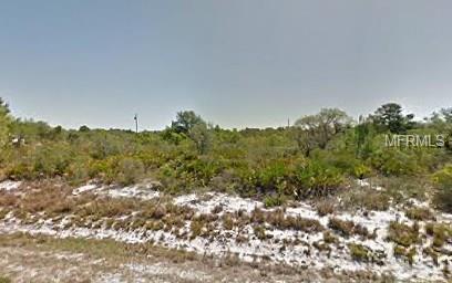 1778 HARTMAN ROAD, AVON PARK, Florida 33825, ,Vacant land,For sale,HARTMAN,C7224110