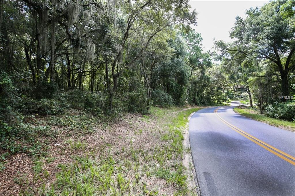 EAST CROOKED LAKE, EUSTIS, Florida 32726, ,Vacant land,For sale,EAST CROOKED LAKE,G4846298