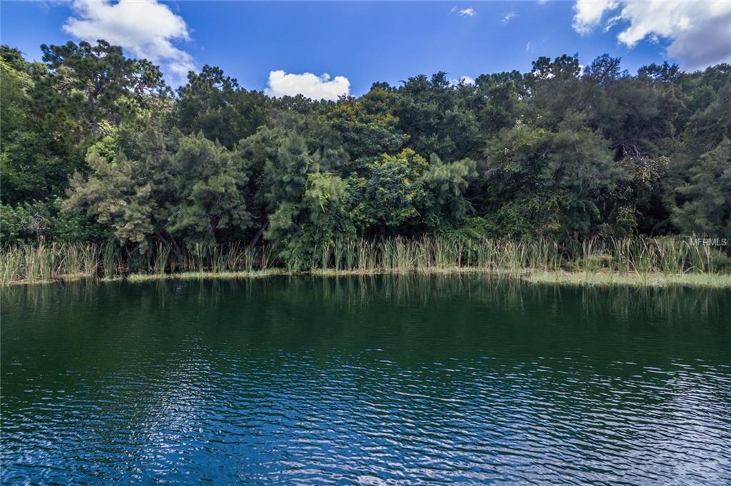 EAST CROOKED LAKE, EUSTIS, Florida 32726, ,Vacant land,For sale,EAST CROOKED LAKE,G4846298