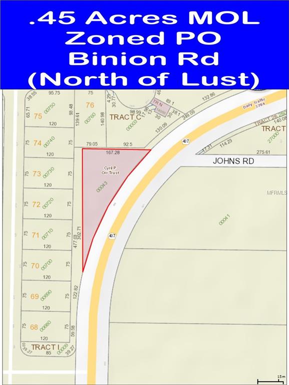 580 S BINION, APOPKA, Florida 32703, ,Vacant land,For sale,BINION,O5531675