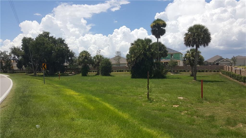 580 S BINION, APOPKA, Florida 32703, ,Vacant land,For sale,BINION,O5531675