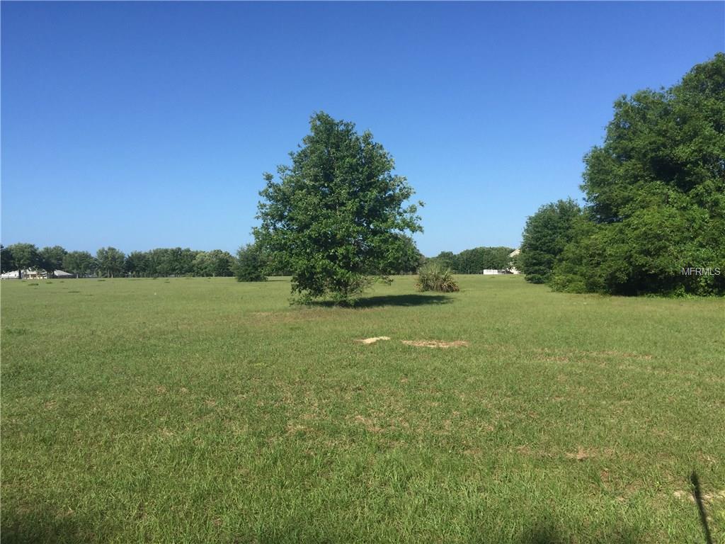 0 KEENE ROAD, UMATILLA, Florida 32784, ,Vacant land,For sale,KEENE,G4826347