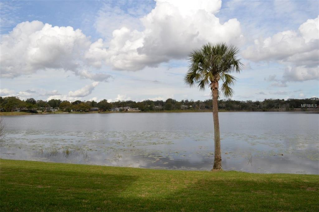 359 LAKE FAITH DRIVE, MAITLAND, Florida 32751, 3 Bedrooms Bedrooms, 7 Rooms Rooms,2 BathroomsBathrooms,Residential,For sale,LAKE FAITH,O5561973