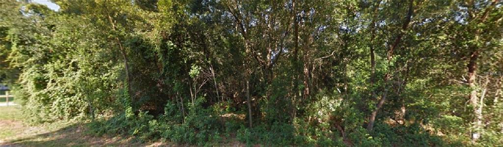 4 MANGROVE COURT N, HOMOSASSA, Florida 34446, ,Vacant land,For sale,MANGROVE,C7224347