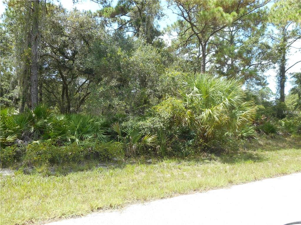 17059 CARSON AVENUE PORT CHARLOTTE, Florida 33948, ,Vacant land,For sale,CARSON,C7242689