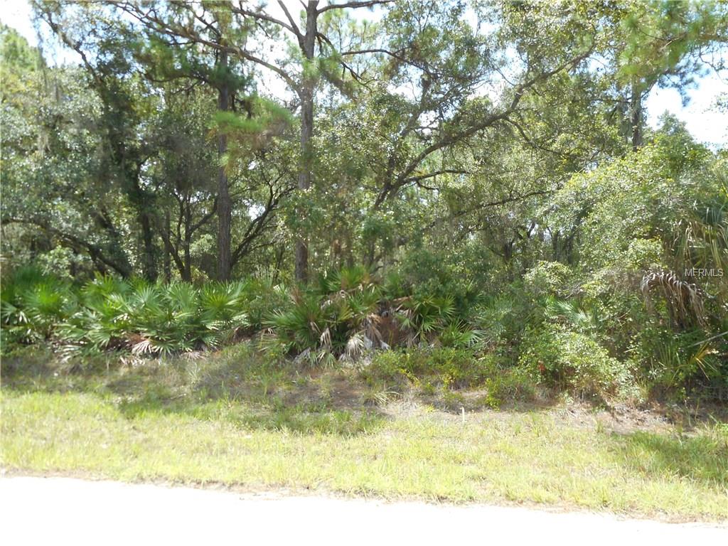 17059 CARSON AVENUE PORT CHARLOTTE, Florida 33948, ,Vacant land,For sale,CARSON,C7242689