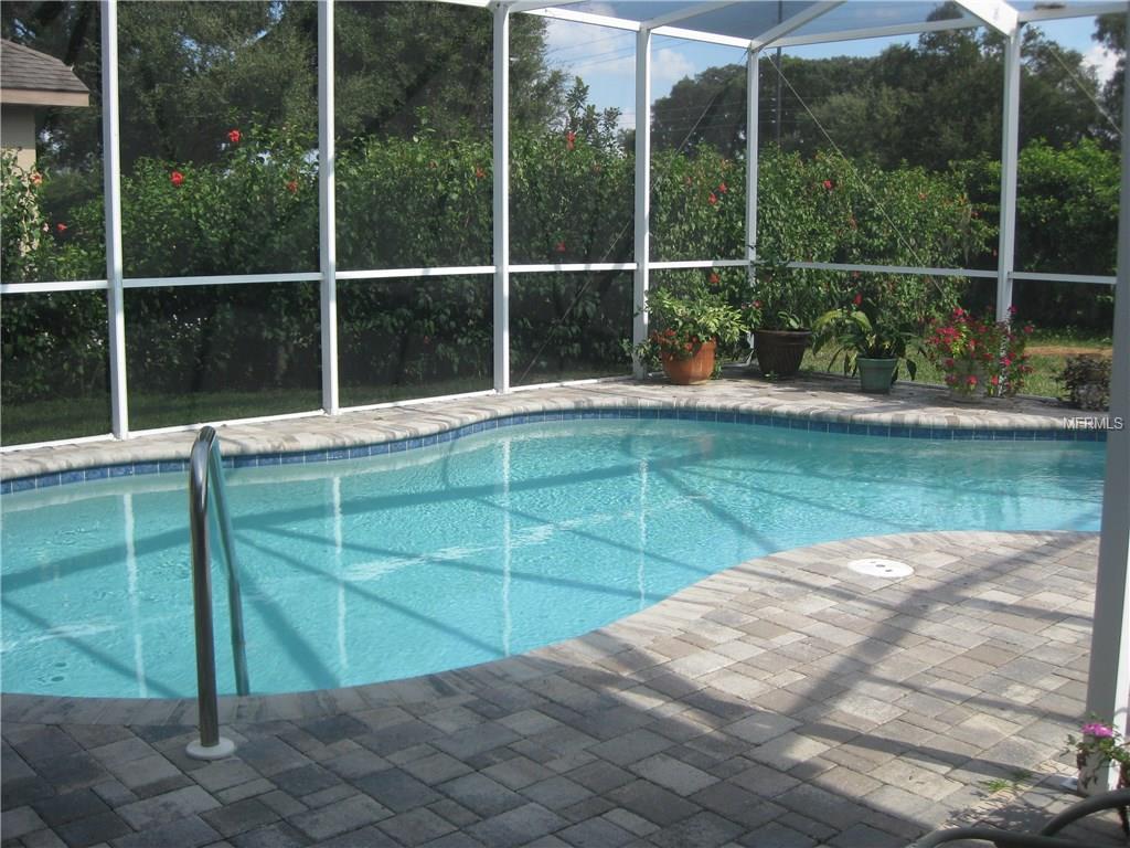 9828 BALSARIDGE COURT, TRINITY, Florida 34655, 3 Bedrooms Bedrooms, 5 Rooms Rooms,2 BathroomsBathrooms,Residential,For sale,BALSARIDGE,U7830219