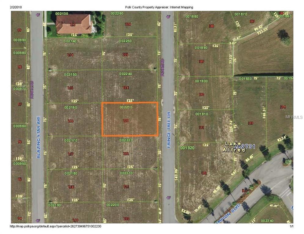 165 FRINGE TREE DRIVE, LAKE ALFRED, Florida 33850, ,Vacant land,For sale,FRINGE TREE,L4725386