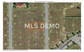 165 FRINGE TREE DRIVE, LAKE ALFRED, Florida 33850, ,Vacant land,For sale,FRINGE TREE,L4725386