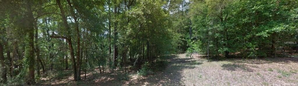 10296 N ABBY DRIVE, CITRUS SPRINGS, Florida 34434, ,Vacant land,For sale,ABBY,C7224349