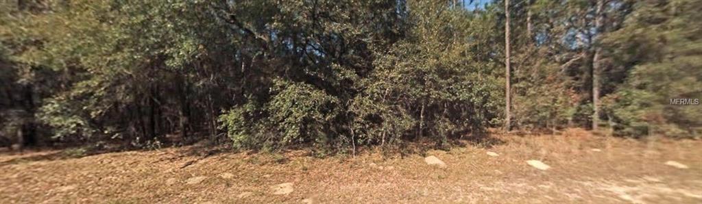 9348 N JACKSON WAY, CITRUS SPRINGS, Florida 34434, ,Vacant land,For sale,JACKSON,C7224350