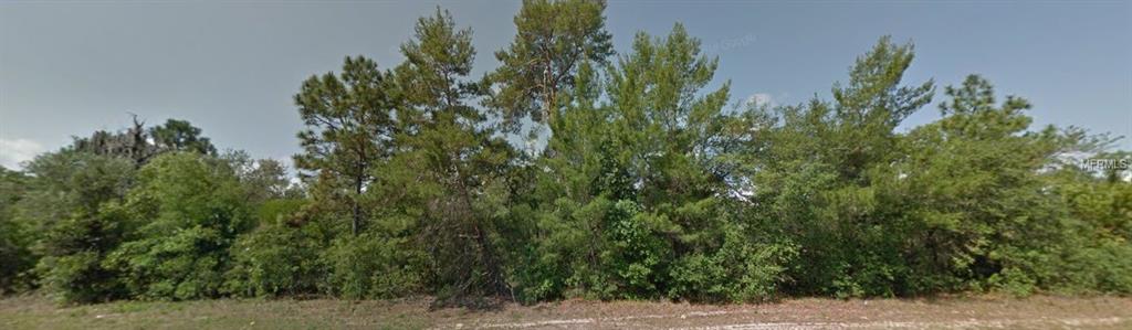 8140 N ELKCAM BOULEVARD, CITRUS SPRINGS, Florida 34433, ,Vacant land,For sale,ELKCAM,C7224355