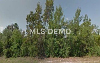 8140 N ELKCAM BOULEVARD, CITRUS SPRINGS, Florida 34433, ,Vacant land,For sale,ELKCAM,C7224355