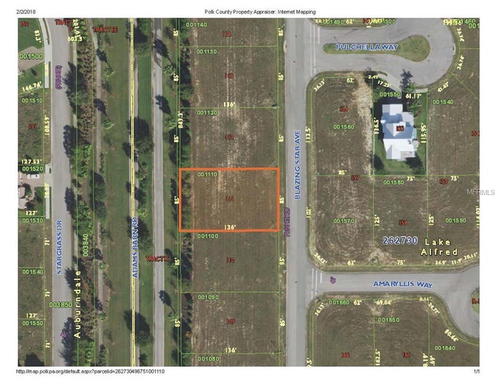 223 BLAZING STAR AVENUE, LAKE ALFRED, Florida 33850, ,Vacant land,For sale,BLAZING STAR,L4725391