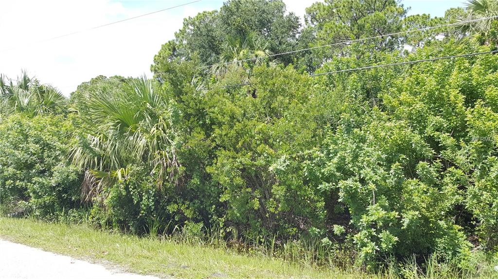 4195 & 4203 WINONA STREET, PORT CHARLOTTE, Florida 33948, ,Vacant land,For sale,WINONA,C7242880