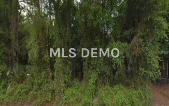 331 MILTON STREET, PORT CHARLOTTE, Florida 33954, ,Vacant land,For sale,MILTON,C7224365