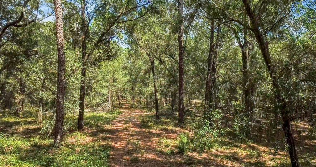 2120 E KICKLIGHTER ROAD, LAKE HELEN, Florida 32744, ,Vacant land,For sale,KICKLIGHTER,O5533464