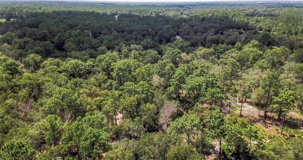 2120 E KICKLIGHTER ROAD, LAKE HELEN, Florida 32744, ,Vacant land,For sale,KICKLIGHTER,O5533464