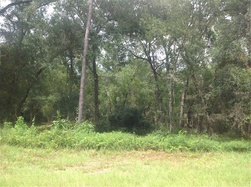 2120 E KICKLIGHTER ROAD, LAKE HELEN, Florida 32744, ,Vacant land,For sale,KICKLIGHTER,O5533464