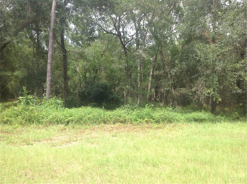 2120 E KICKLIGHTER ROAD, LAKE HELEN, Florida 32744, ,Vacant land,For sale,KICKLIGHTER,O5533464