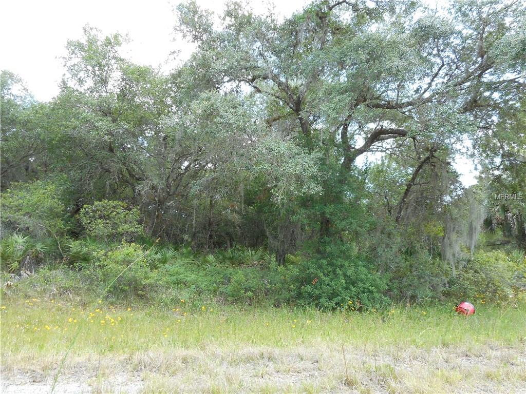 TROLLEY ROAD NORTH PORT, Florida 34291, ,Vacant land,For sale,TROLLEY,C7225080