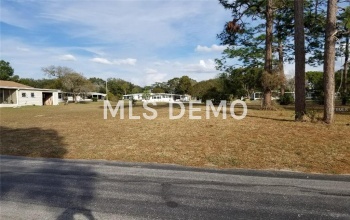 8078 MONTROSE AVENUE, BROOKSVILLE, Florida 34613, ,Vacant land,For sale,MONTROSE,T2927266