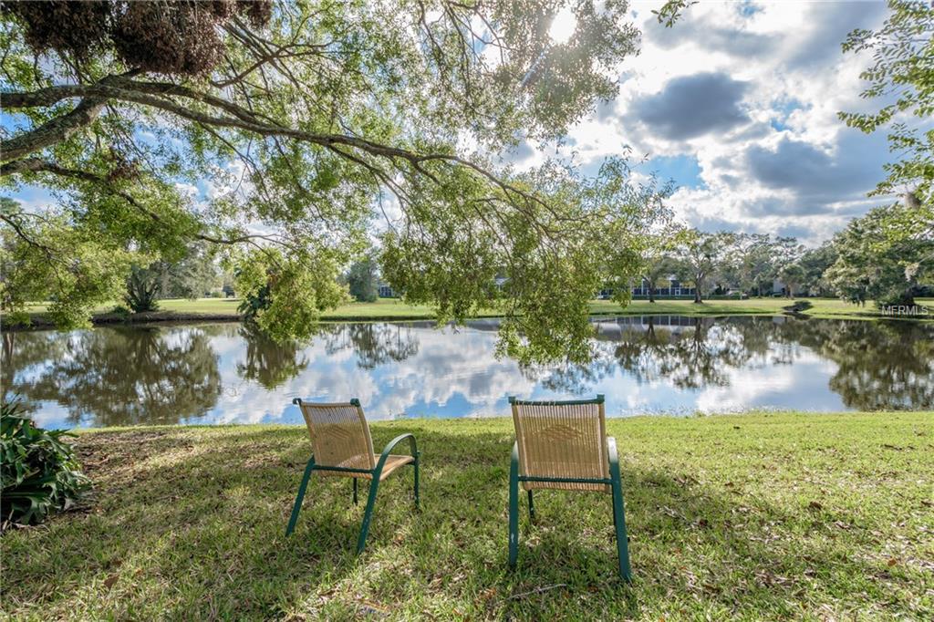 114 ANNWOOD ROAD, PALM HARBOR, Florida 34685, 3 Bedrooms Bedrooms, 6 Rooms Rooms,3 BathroomsBathrooms,Residential,For sale,ANNWOOD,U7841792