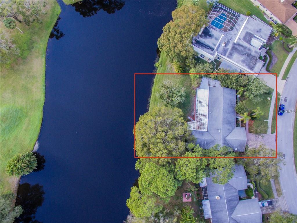 114 ANNWOOD ROAD, PALM HARBOR, Florida 34685, 3 Bedrooms Bedrooms, 6 Rooms Rooms,3 BathroomsBathrooms,Residential,For sale,ANNWOOD,U7841792