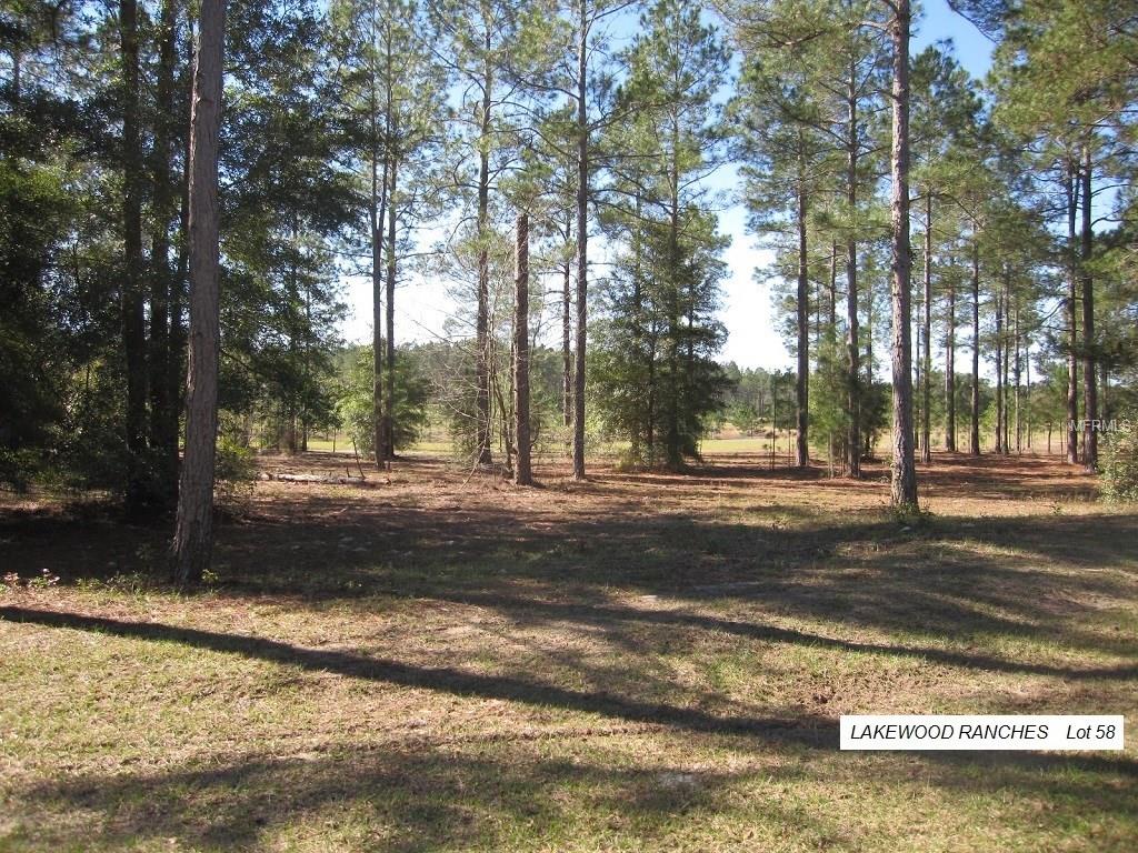 35844 PINEGATE TRAIL, EUSTIS, Florida 32736, ,Vacant land,For sale,PINEGATE,O5534986