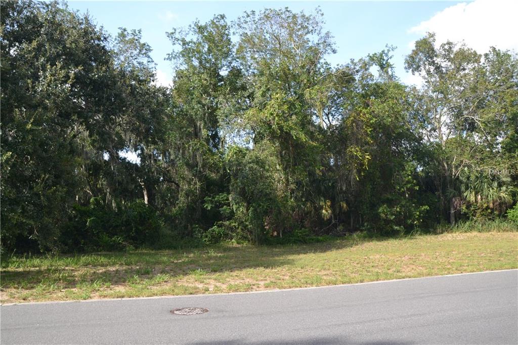 Lot K-11 BLUE HERON CIRCLE, TAVARES, Florida 32778, ,Vacant land,For sale,BLUE HERON CIRCLE,G4828255