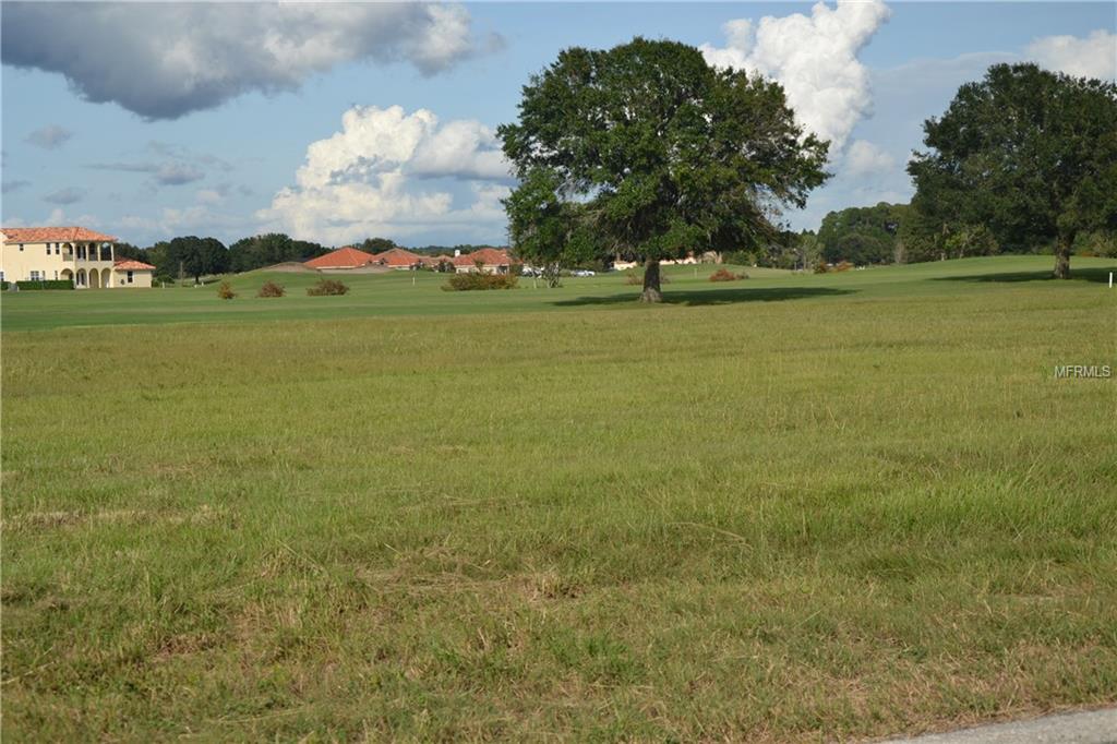 Lot E-5 LIVE OAK DR, TAVARES, Florida 32778, ,Vacant land,For sale,LIVE OAK DR,G4828257