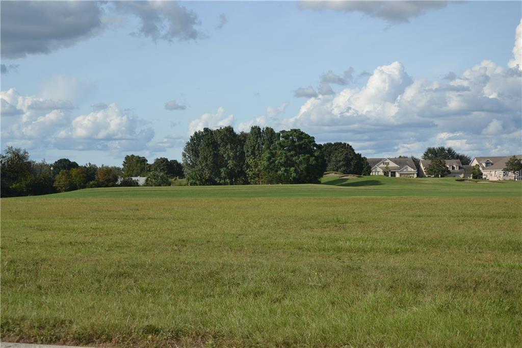 Lot E-5 LIVE OAK DR, TAVARES, Florida 32778, ,Vacant land,For sale,LIVE OAK DR,G4828257