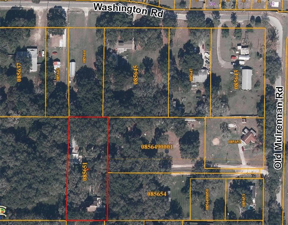3205 WASHINGTON ROAD, VALRICO, Florida 33594, ,Vacant land,For sale,WASHINGTON,T2903881