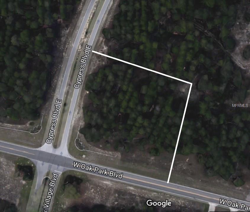 210 CYPRESS STREET, HOMOSASSA, Florida 34446, ,Vacant land,For sale,CYPRESS,W7633714