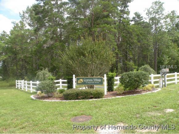 210 CYPRESS STREET, HOMOSASSA, Florida 34446, ,Vacant land,For sale,CYPRESS,W7633714
