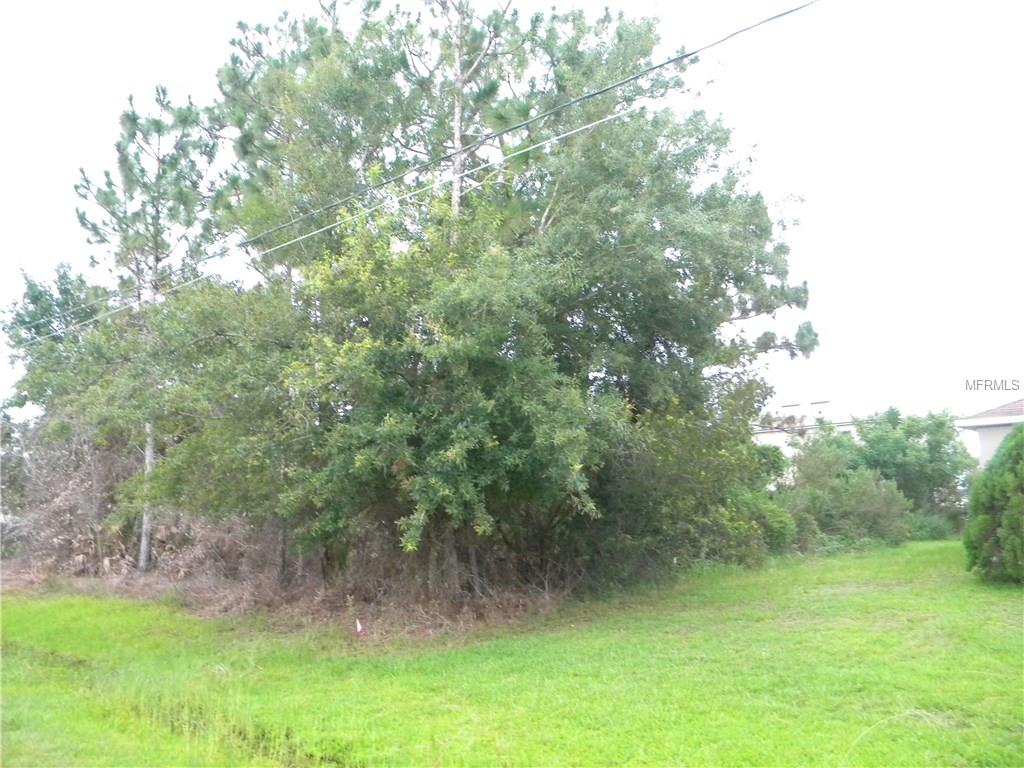 635 BITTERN COURT, POINCIANA, Florida 34759, ,Vacant land,For sale,BITTERN,O5537170