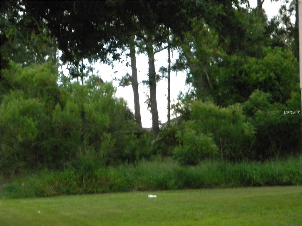 635 BITTERN COURT, POINCIANA, Florida 34759, ,Vacant land,For sale,BITTERN,O5537170