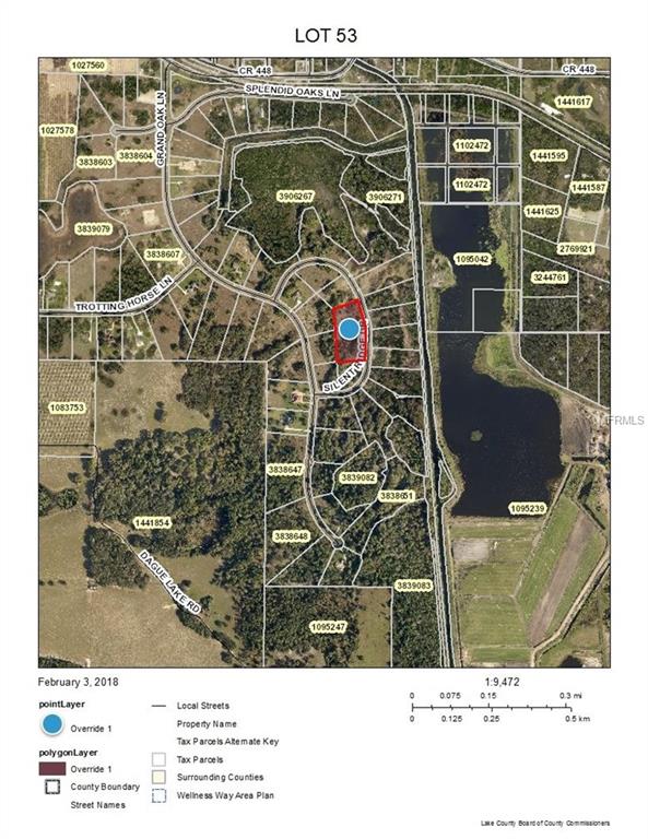 TBD SILENT RIDGE DRIVE, TAVARES, Florida 32778, ,Vacant land,For sale,SILENT RIDGE,U7846980