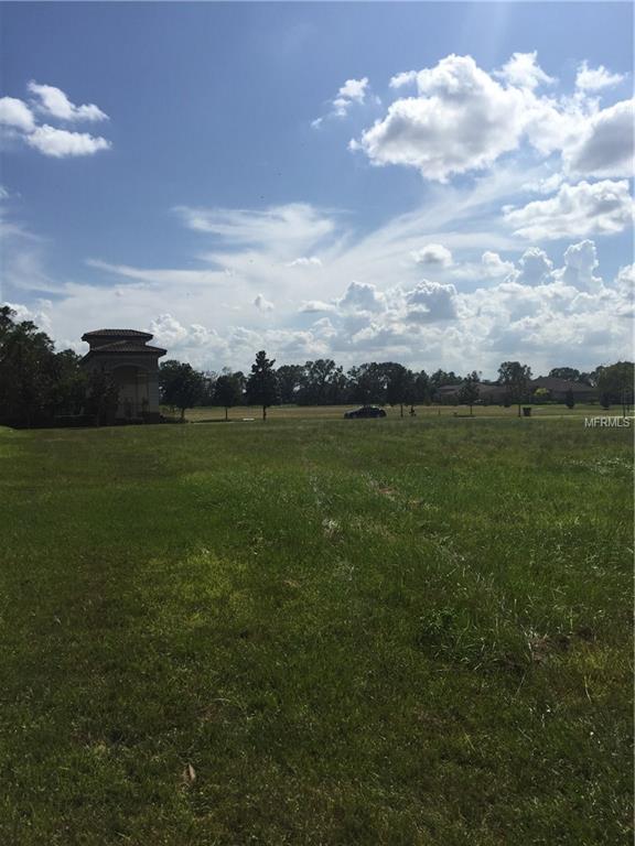 106 HAWK TALON DRIVE, LITHIA, Florida 33547, ,Vacant land,For sale,HAWK TALON,T2905120